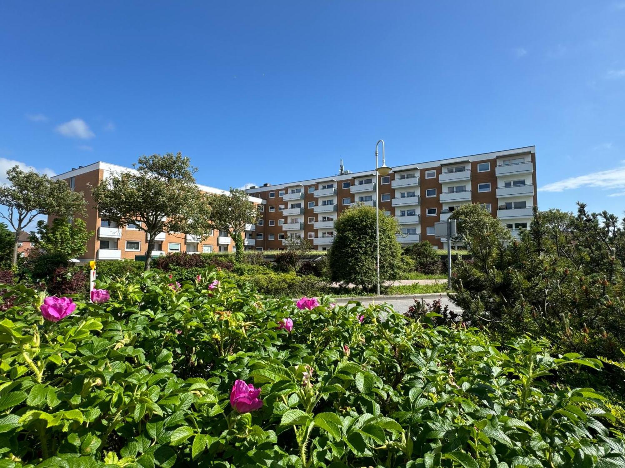Apartment Im Haus Nordland Nordland, App51 Hund